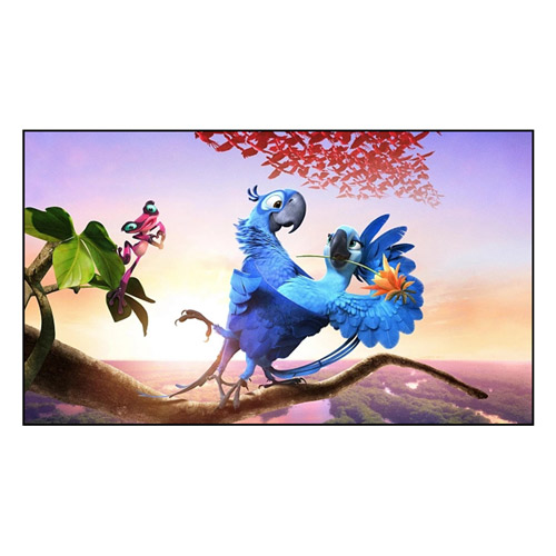 Comment l’écran à cadre fixe améliore-t-il votre expérience visuelle ?